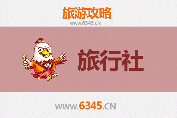 五指山通什镇本地旅行社推荐：深度探索雨林秘境的旅行指南