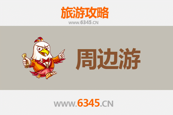 五指山通什镇周边深度游攻略：雨林探秘与黎苗文化体验